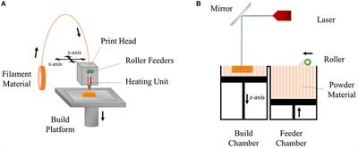 3D and 4D Printing of Polymers for Tissue Engineering Applications